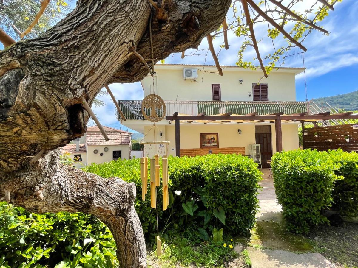 Corocael Bed & Breakfast *